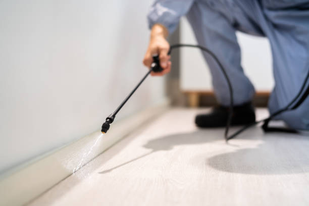 Licensed Pest Control service in Cambria, CA - Show Me Pest Control